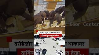 California Robbery CCTV video: दागिन्यांच्या दुकानात 25 सशस्त्र दरोडेखोर घुसले अन्... | BBC Marathi