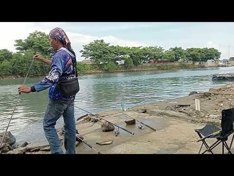 AWESOME !!! fishing in the estuary