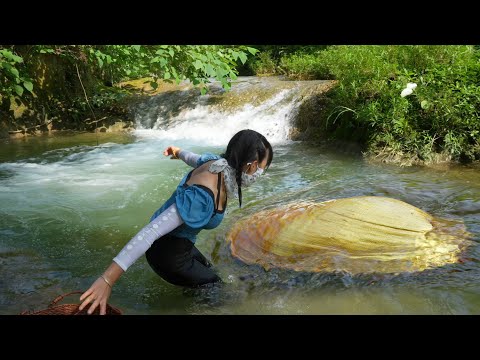 😱😱Unbelievable discovery‼️The girl caught a mutated golden clam with a golden treasure inside🔥🔥