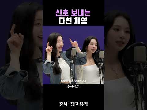 신호 보내는 다현 채영 #트와이스