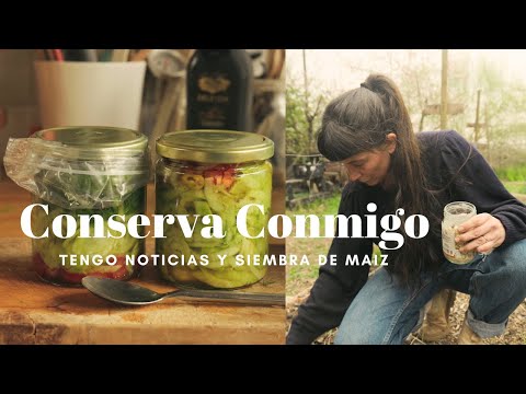 Tengo (buenas) Noticias! Conserva conmigo esta planta que solo tienes que sembrar una vez