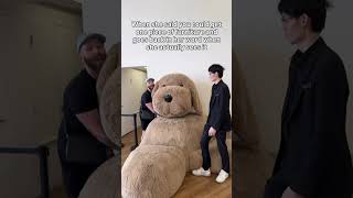 BUT I WANT THE DOG COUCH!! @LVFurnitureCollection