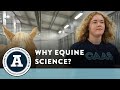 Equine Science and Therapy Quiz