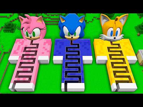 I found a SONIC AMY MAZE  vs TAILS in Minecraft ! What's the SONIC WOMAN ?