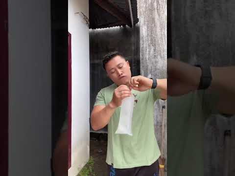 Bukakan Es Krim