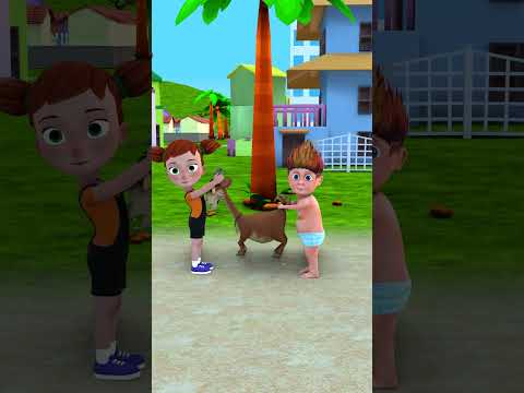 Amaira Ki Bakri  😍 | Gulli Bulli | Cartoon | granny | short | tmkoc | shortscomedy
