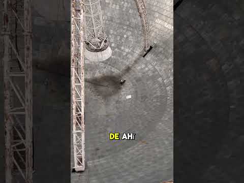 El Peor Error De Su Vida 📡Según yo...