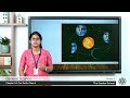 Earth's Movements and Seasons