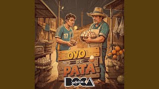 Ovo de Pata