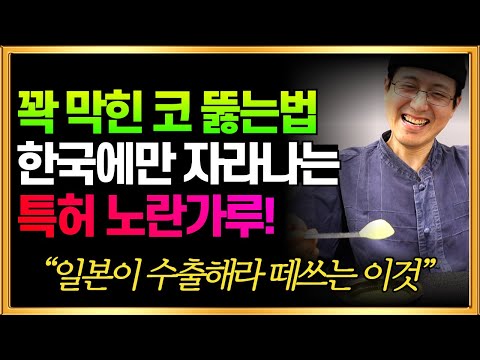 하루 한스푼으로 코막힘 뚫는법! 한국에만 자라나는 특허 노란가루 '일본이 수출해라 떼쓰는 이것'