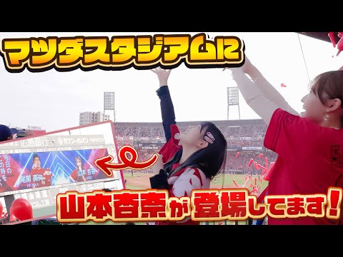 [Go Carp] Announcement to Anna Papa! Watching the Stadium! 