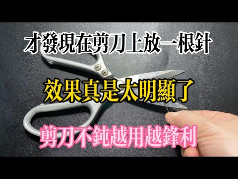 才發現在剪刀上放一根針，效果真是太明顯了，剪刀不鈍越用越鋒利，【美食大發現】