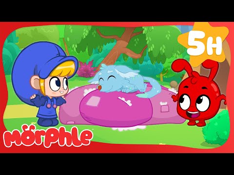 Telefox's New Bed | Morphle's Family | My Magic Pet Morphle | Kids Cartoons