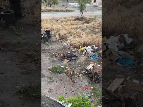 Tilki Kediden Korktu 😂😂 #yörük #tilki #kedi #kediler #köy #keşfet #tavuk  Desteklerinizi bekliyorum