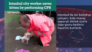 Kalp masajıyla yavru kedinin hayatını kurtardı