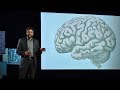 Understanding Beauty: A Historical and Scientific Perspective