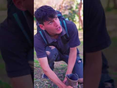 Nunca imaginó que su mejor amigo lo traicionará de esta manera #viralvideo #shorts #reflexiones