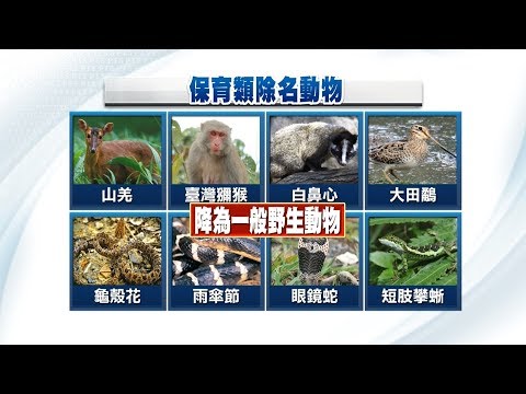 獼猴、山羌等8種動物 不再列保育類 20190109公視晚間新聞 - YouTube