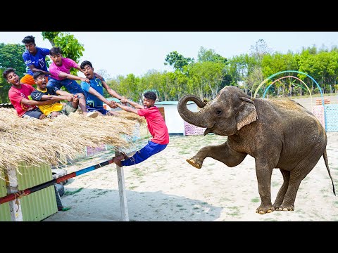 Top Very Special Trending Funny Comedy Video 2025 😂Try To Not Laugh 2025 Episode 286 by Fani Tv Ltd