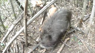 28 アルとリクで計４頭獲った日