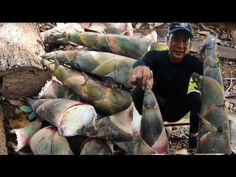 Special Recipe with Daing na Pugita Part 1