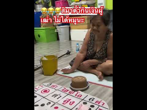 ไม่ได้หมูนะจ๊ะ