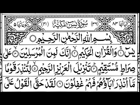 Surah Yaseen Surah Rahman || Quran Recitation l Daily Quran Tilawat | Quran Tilawat l Episode 31