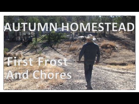 AUTUMN HOMETEAD - First Frost & Farm Chores