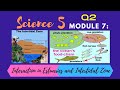 Ecosystem Roles and Interactions