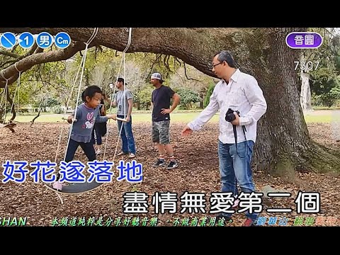 旅途夜風   【美國   南卡羅來納州  查爾斯頓】    劉華山  (翻唱)  (劉華山 錄作)