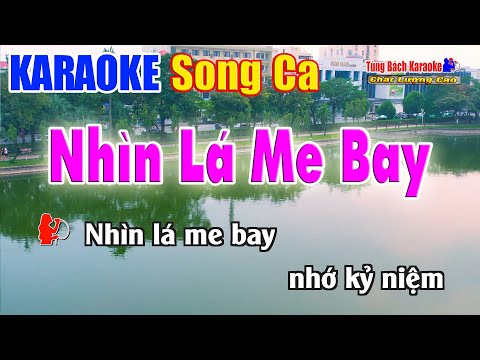 Karaoke Nhìn Lá Me Bay ( Song Ca ) Nhạc Sống Tùng Bách