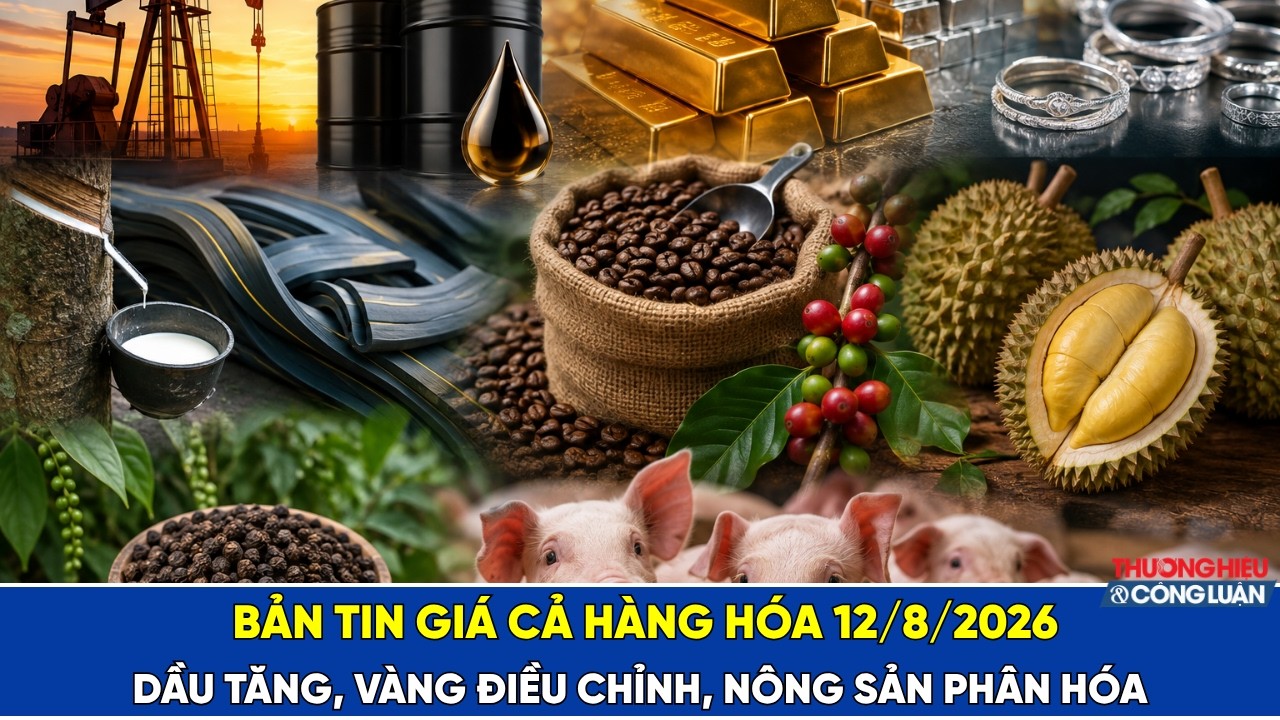 Bản tin thị trường hàng hóa ngày 12/8/2026: Dầu tăng, vàng điều chỉnh, nông sản phân hóa
