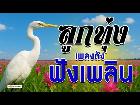 ลูกทุ่ง เพลงดัง + ฟังเพลิน  - รวมเพลงฟังเพราะเสียงดี