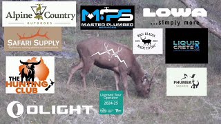 Our hunt was ruined // Sambar deer hunting, #publiclandhunting #deerhunting