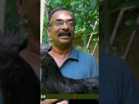 ഞാനും പറ്റിക്ക പെട്ടിട്ടുണ്ട്