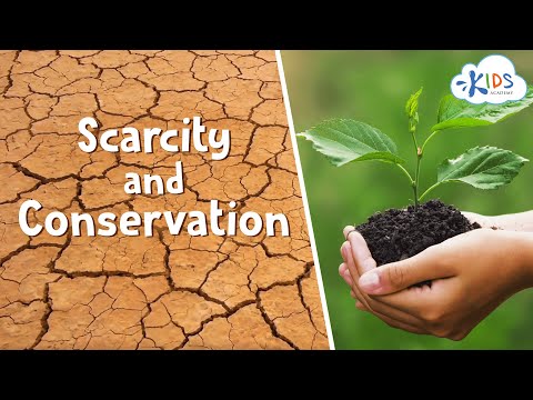 Scarcity and Conservation