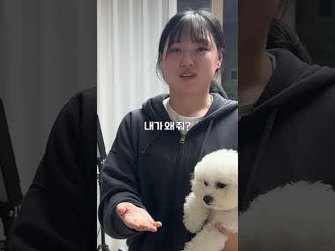 바보 동생 놀리기