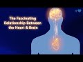 Heart Coherence and Emotional Intelligence