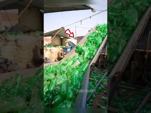 Plastic Bottle Recycling...😱