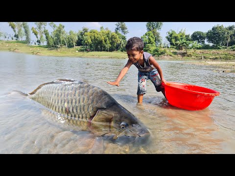 Amazing Traditional Boy Fish Catching By Hand in Water | Amazing Hand Fishing Video #Fish