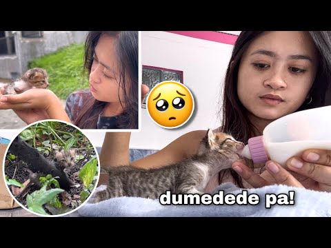 I Found A Kitten…AGAIN! | BABY PA SYA! | Sai Datinguinoo
