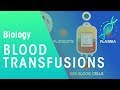 Understanding Blood Transfusions