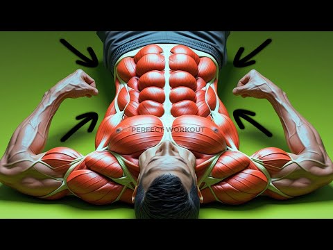 5 Min Perfect Abs Workout at Home (No Excuses)