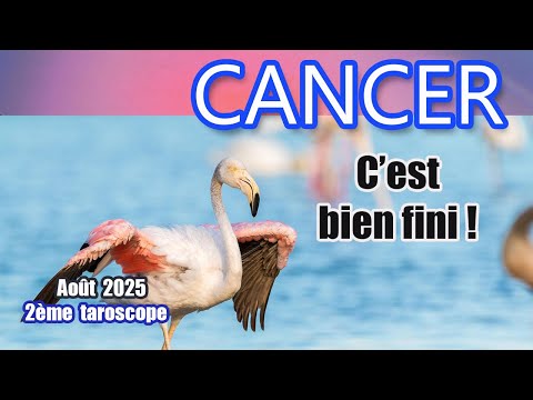 CANCER AOÛT 2025 : C'est bien fini !