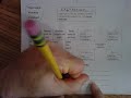 Algebraic Expressions and Operations