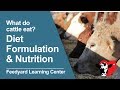 Cattle Diet Management Concepts