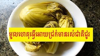 មូលហេតុធ្វើអោយជ្រក់មានរស់ជាតិជូរ/The reason why fermented vegetable are sour