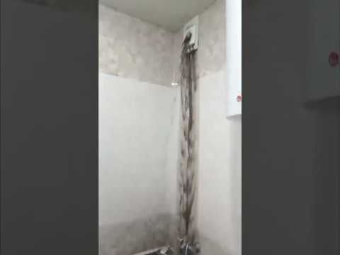 Что делать в такой ситуации? Автор видео: @tragedynapike  #комментарии #юмор #шуточное