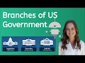 Exploring the Three Branches of U.S. Government