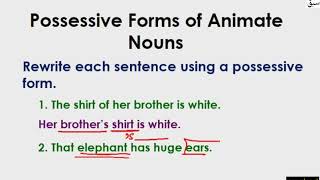 Possessive Forms of Animate Nouns Activity